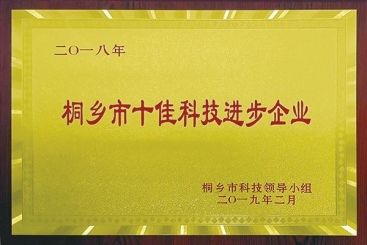 巨石集團榮獲2018年桐鄉(xiāng)市十佳科技進步企業(yè)